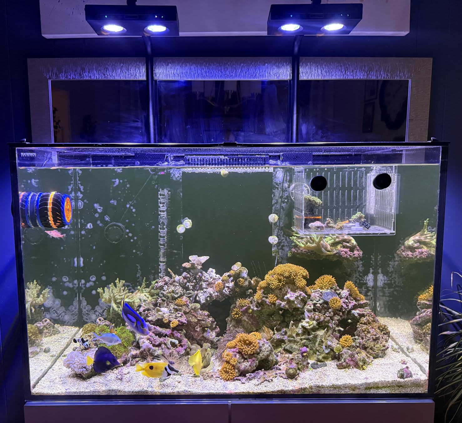 Reef Lighting - Wysokiej Mocy DIY Spektrum 90W G5