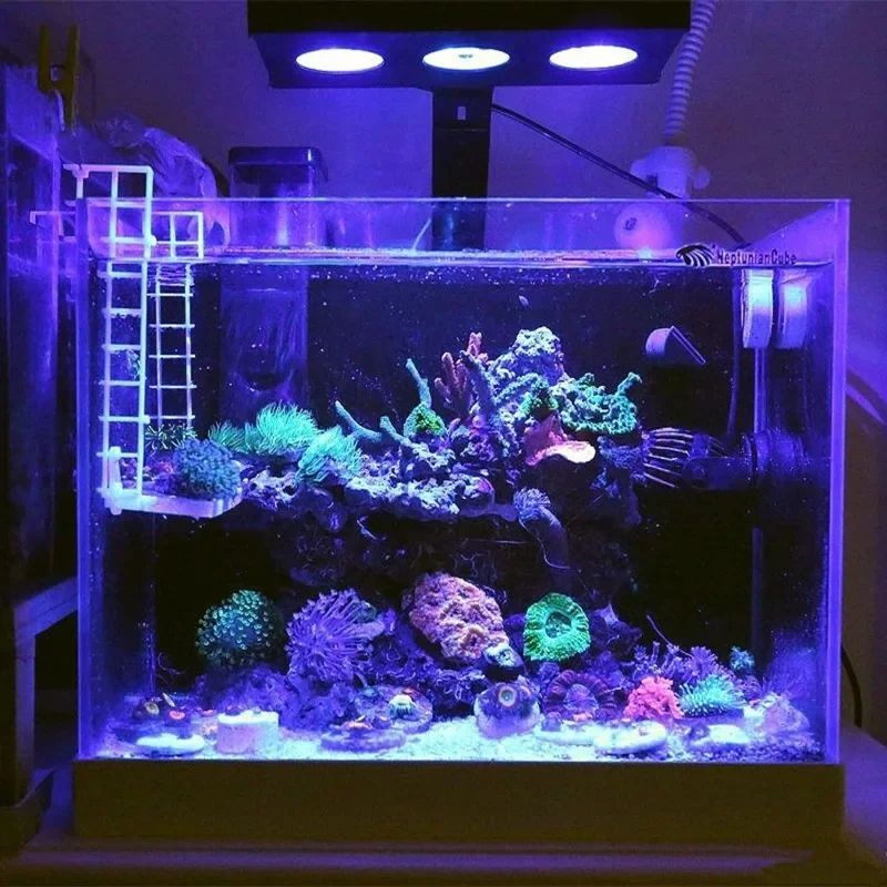 Lampa akwariowa LED Spectra Na – Reef Lighting recenzja i cena
