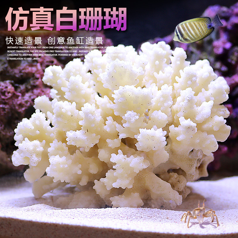 Mały Zbiornik Koralowy Zestaw  – Marine Aquarium Epoxy recenzja i cena