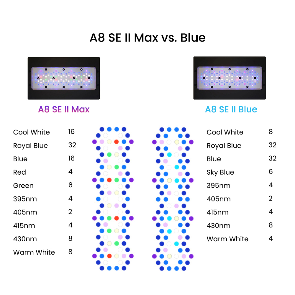 A8SE II Max i Blue 240W Pełnos – Marine Coral recenzja i cena