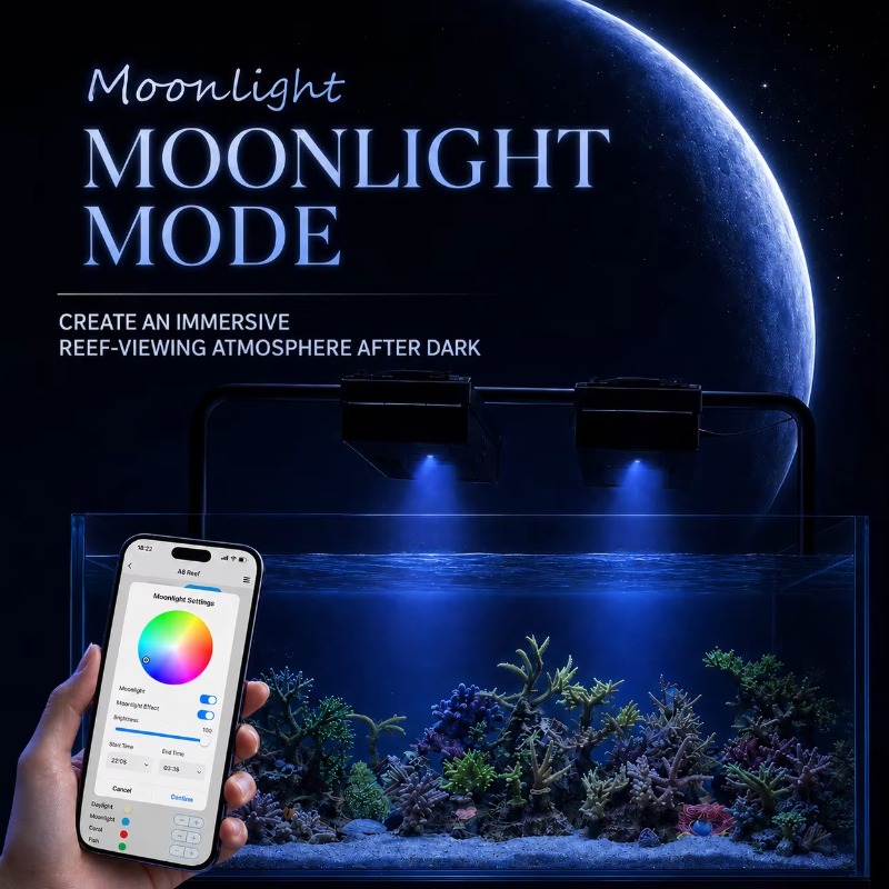 AIPAI A8 III Seria A8SE/A8 Pro – Marine Coral recenzja i cena