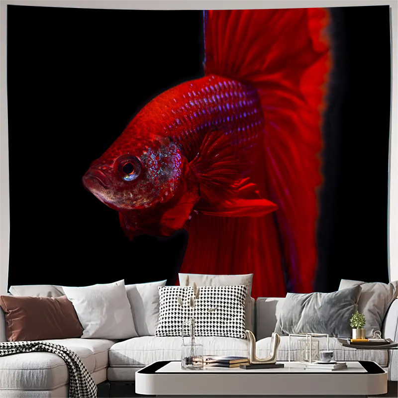 Żywy Czerwony Betta Ryba Gobel – Ocean Aquarium recenzja i cena